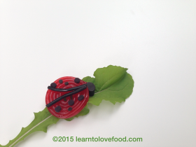 licorice ladybug on a lettuce leaf